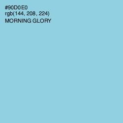 #90D0E0 - Morning Glory Color Image